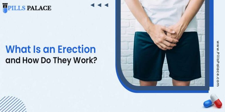 What Is an Erection and How Do They Work?